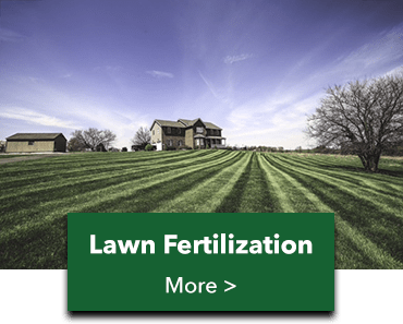 Lawn fertilization